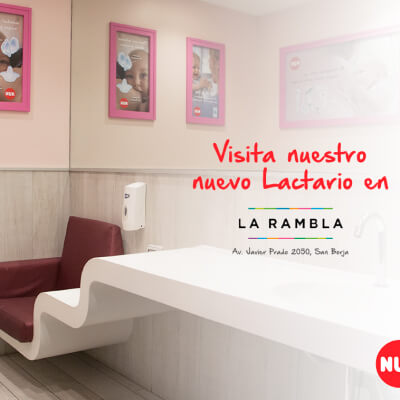 Lactario